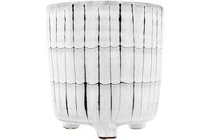 Black and White Terracotta Planters: Classy Home Decor