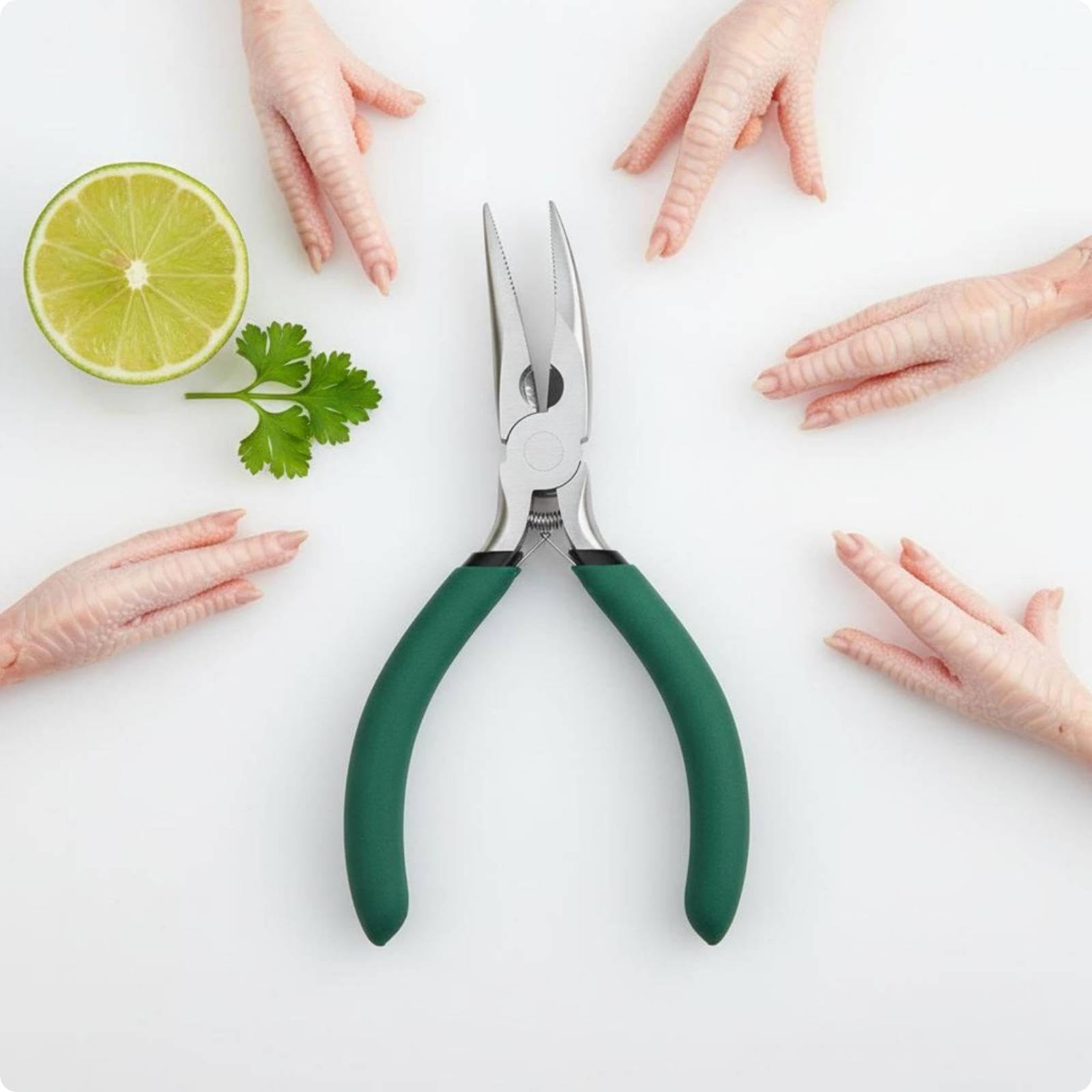 5 Pinze per di Pollo, in Acciaio Inox 304, per Disossare E Preparare Il Cibo, 5 pezzi