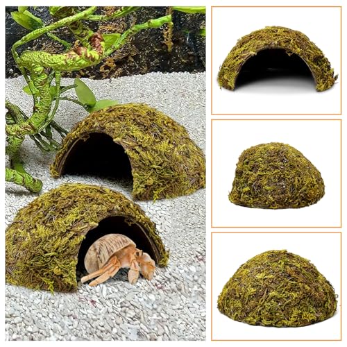 PINVNBY 4 Pack Natural Green Moss Hide Caves Coconut Reptile Hideouts Hamster Climbing Toys Gecko Habitat Decor Lizard Shell Shelter for Snake Tarantulas Turtle Chameleon by PINVNBY - Image 5