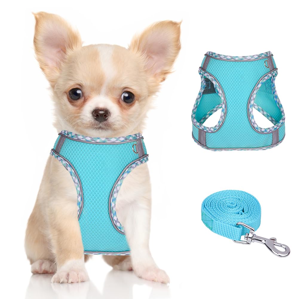 DoggieKit Dog Harness for Small Medium Dogs No Pull Adjustable Step in Puppy Harness and Leash Set,Reflective Breathable Mesh Pet Harnesses Soft