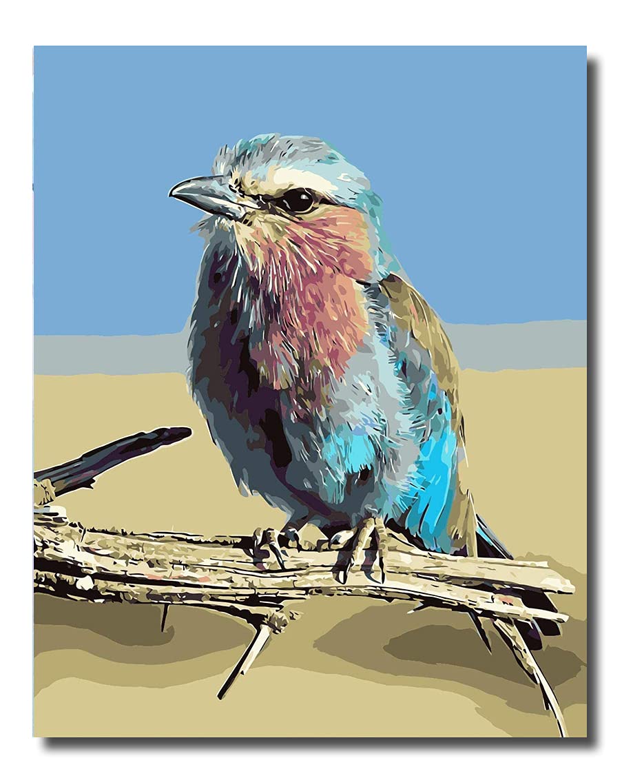 Fuumuui Paint by Number Kits, DIY Digital Canvas Oil Painting Gift for Kids, Students, Adults Beginner-Colorful Bird