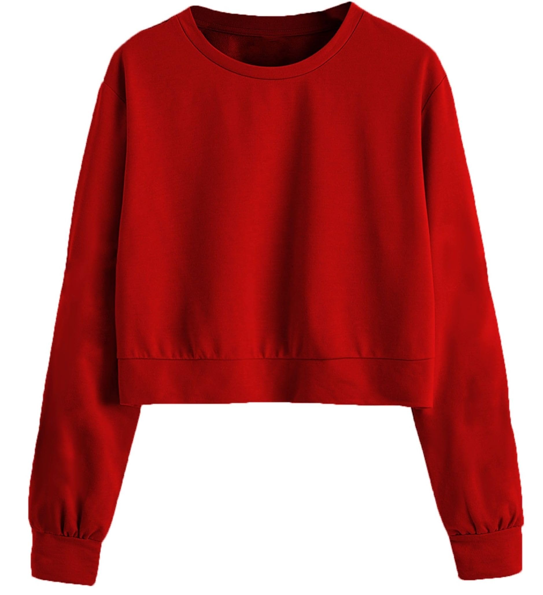 the blazze B1341 Women's Cotton Round Neck Full Sleeve Regular Fit Winter Wear Sweatshirts-picture-24