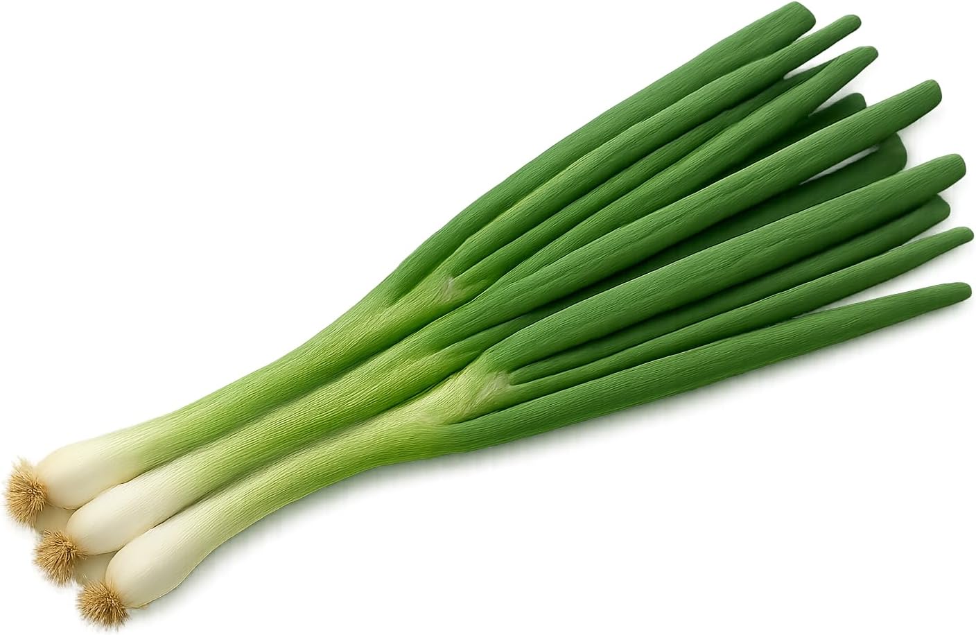 Green Onion Seedlings: Ready-to-Plant, Starts, Starters, Plugs, Garden Ready, Live Plants, Transplants, Pre-Sprouted, Soil & Hydroponic Gardens (6 seedlings)