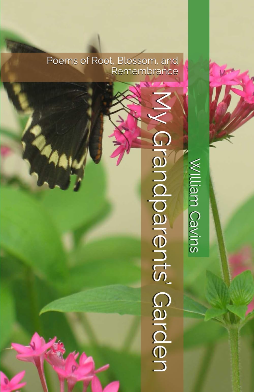 My Grandparents’ Garden: Poems of Root, Blossom, and Remembrance