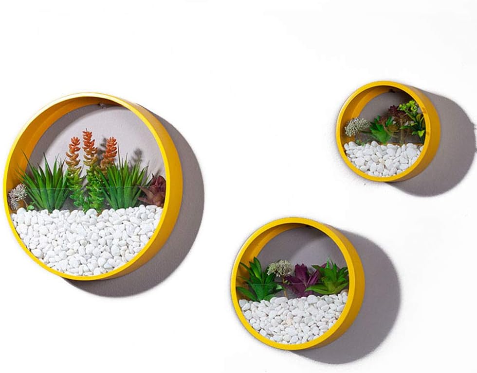 3 Pack Set Modern Wall Planters with 3 Artificial Succulent Plants Succulent Planter Circle Metal Flower Pot Indoor Air Plant Vertical Container Hanging Vase Home Decoration Size S,M,L Yellow