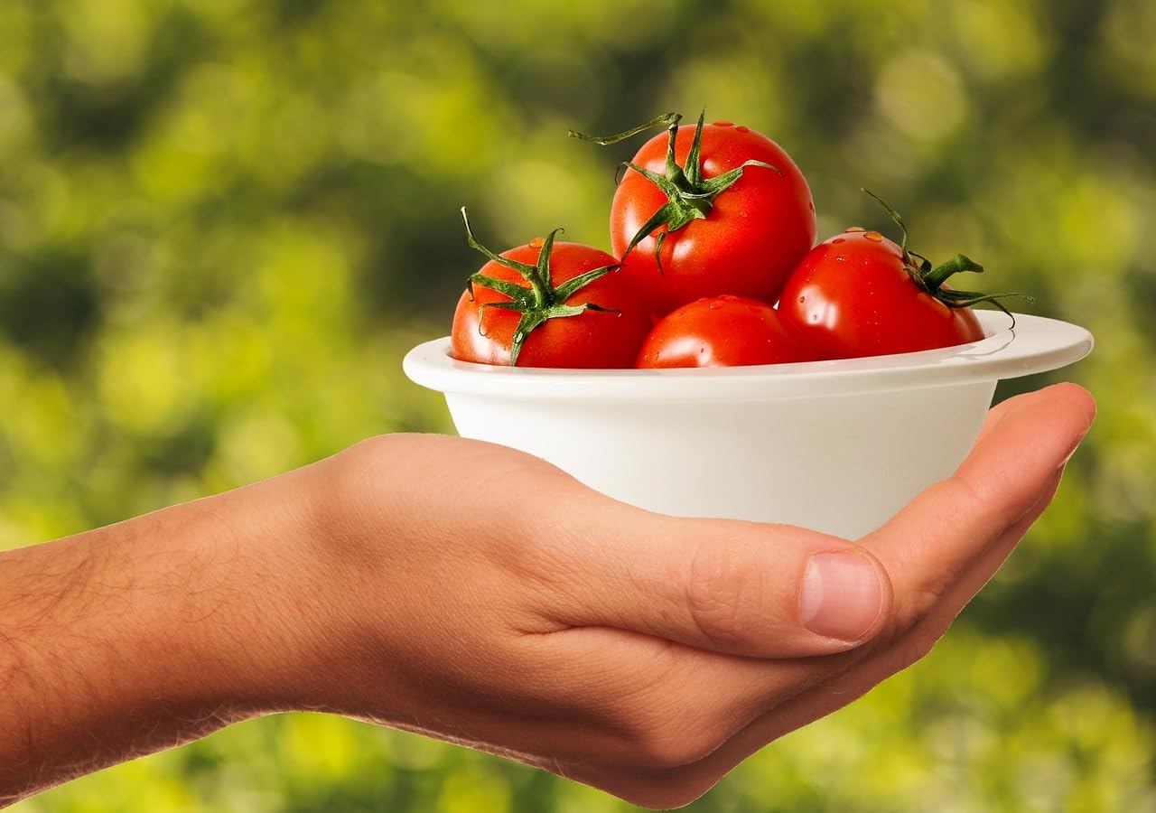 Mediterrano Tomatendünger – Premium Dünger für Tomaten, Gemüse & Kräuter 10 Kg Original Mediterrano NKP 10-4-8
