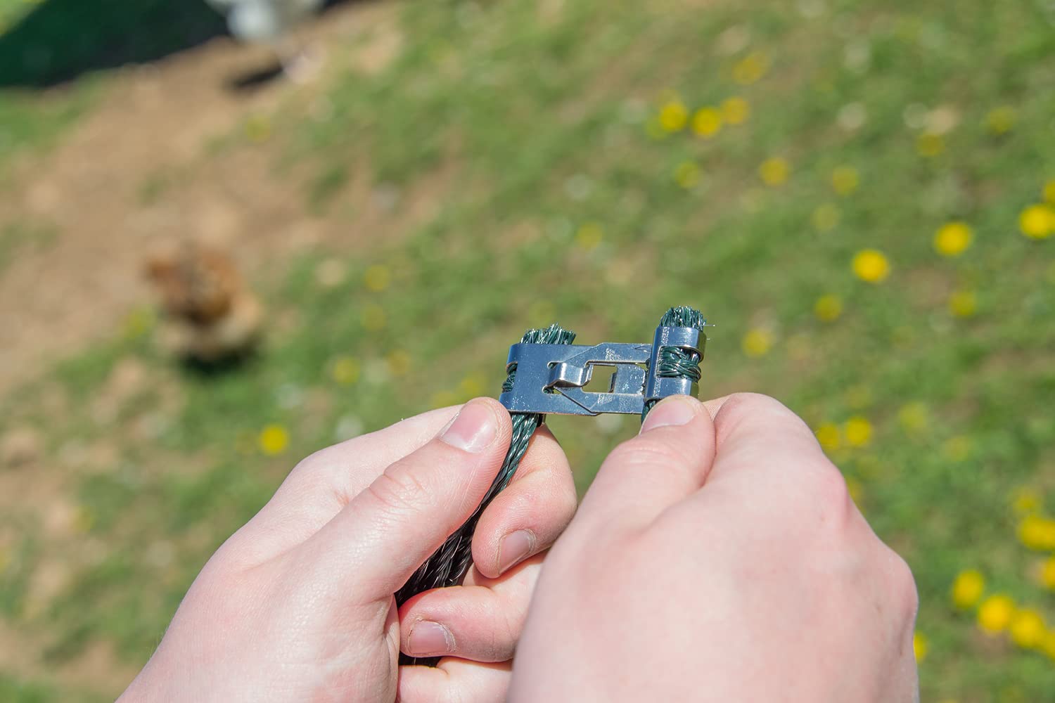 horizont Filet volaille Non électrifié 25m, h 1.2m