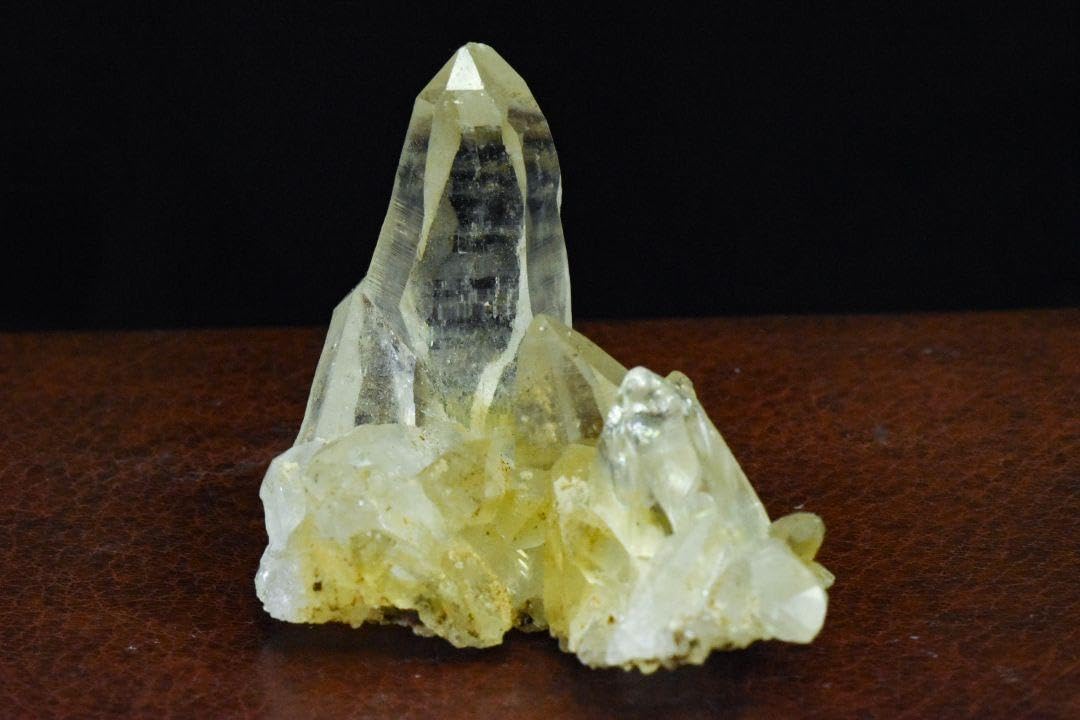 パキスタン シガール渓谷産 ゴールデンヒーラー