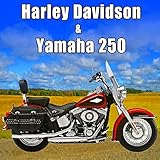 Yamaha 250cc Motorcycle Gear Change