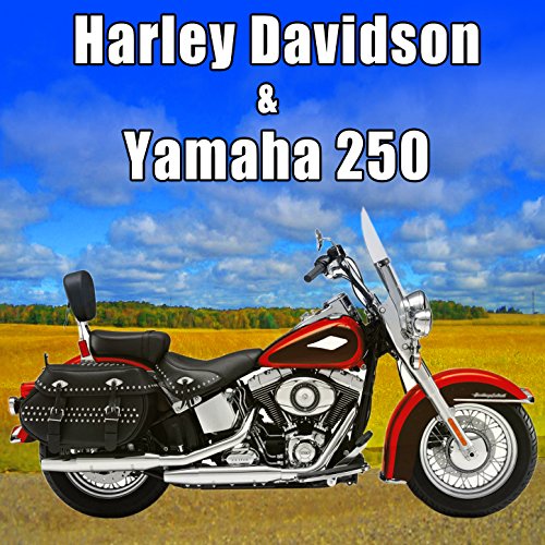  Harley Motorcycle Revs Engine