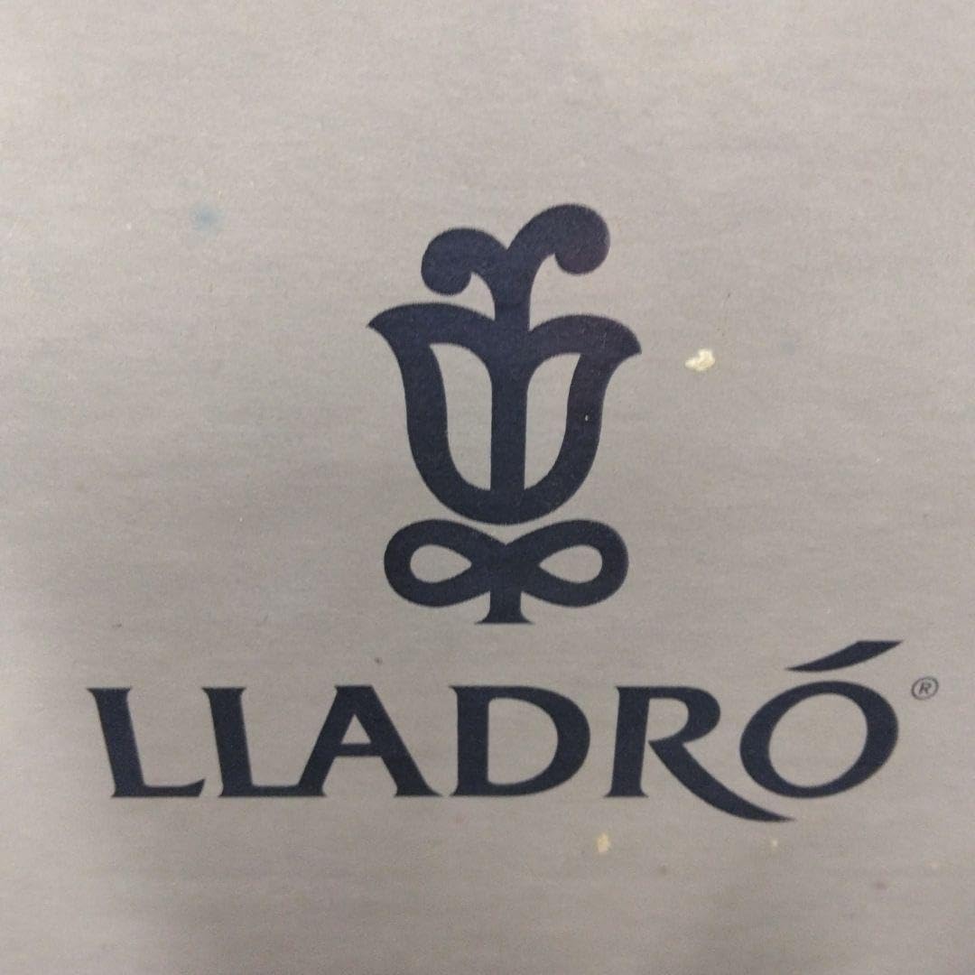 Amazon.co.jp: LLADRO リヤドロ 陶器 置物 アヒルとかえる : ホーム