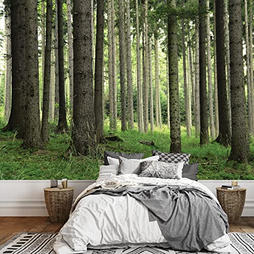 Wall26 - Tree Trunks In A Beautiful Green Forest - Landscape - Wall Mural, Removable Sticker, Home Decor - 66X96 Inches #TOP27
