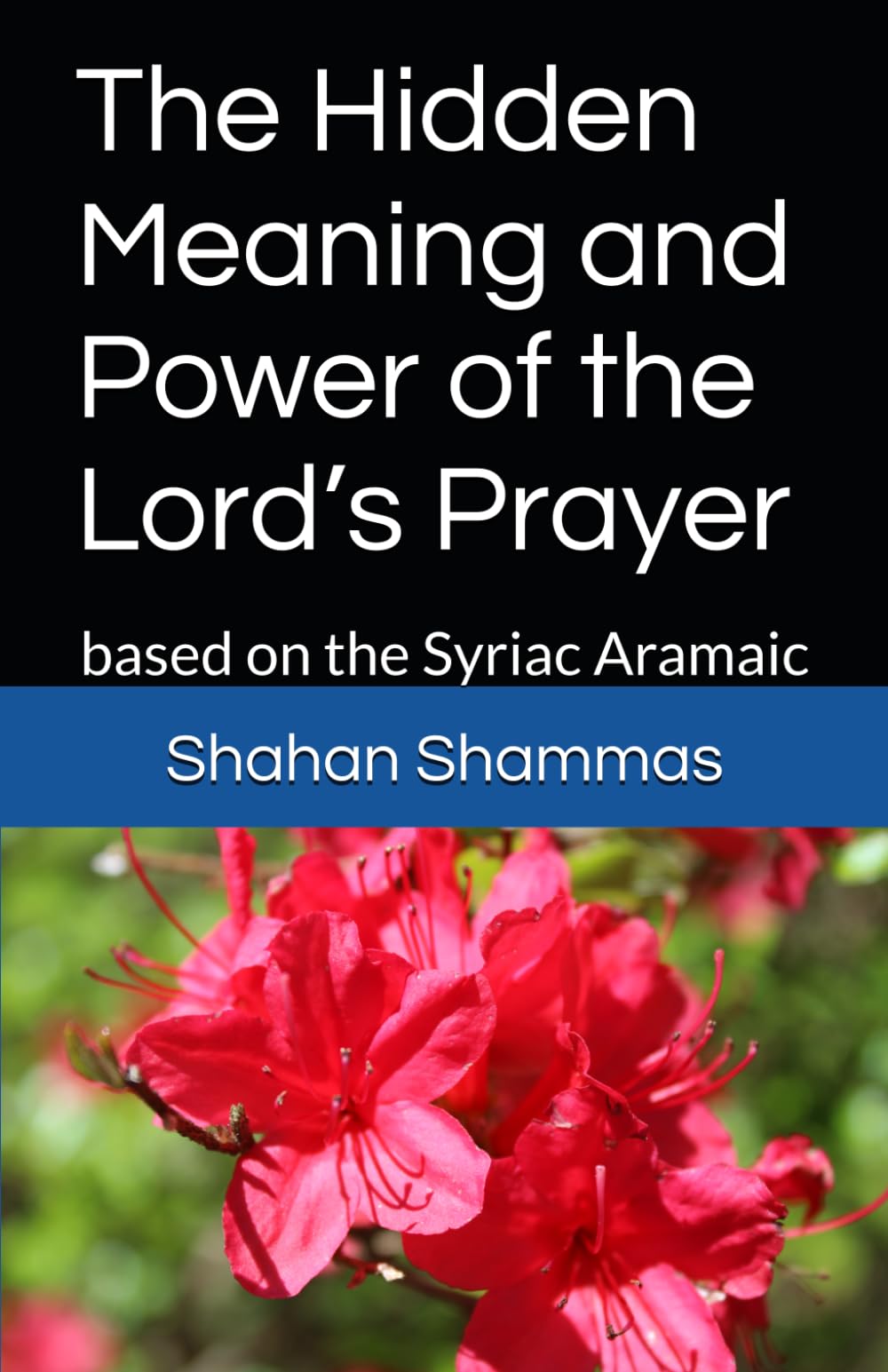 The Hidden Meaning and Power of the Lord’s Prayer: based on the Syriac Aramaic