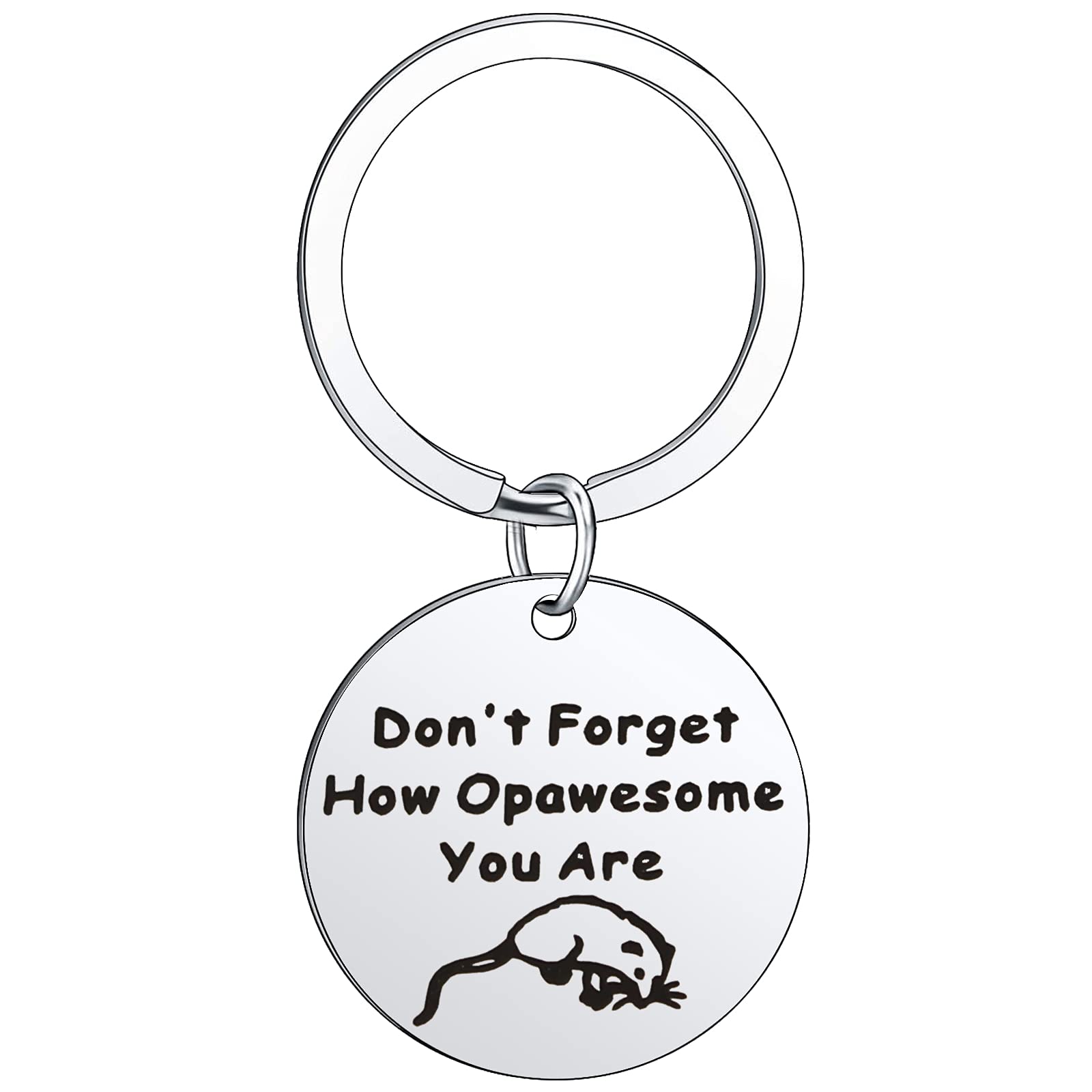Scwasen Funny Opossum Lover Gift Opossum Jewelry Keychain Don’t Forget How Opawesome You are Inspirational Gift for Best Frien (Opawesome)