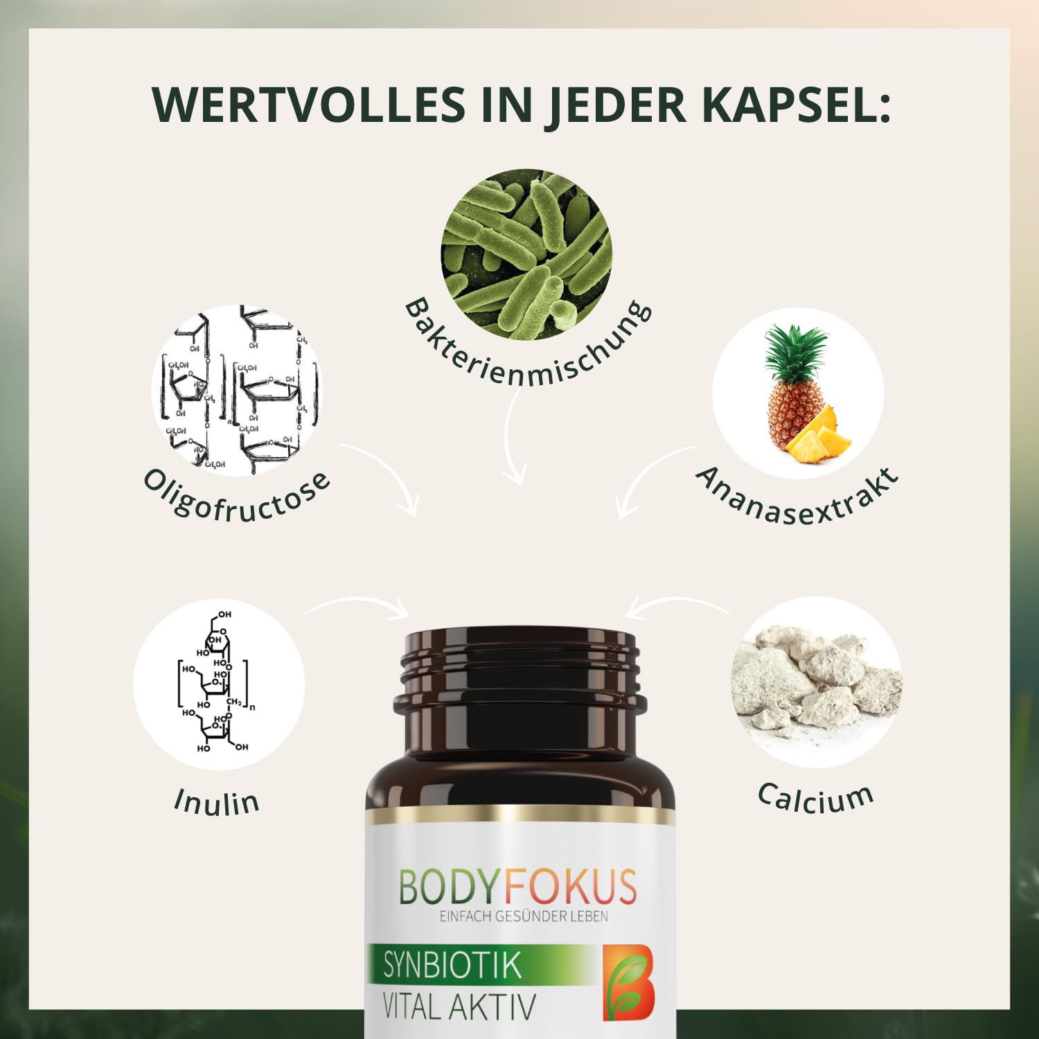 BodyFokus SynBiotik Vital Aktiv 13 Stämme Inulin Oligofructose 60 Kapseln