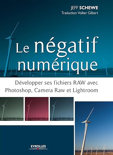 Le négatif numérique: Développer ses fichiers RAW avec Photoshop, Camera RAW et Lightroom.