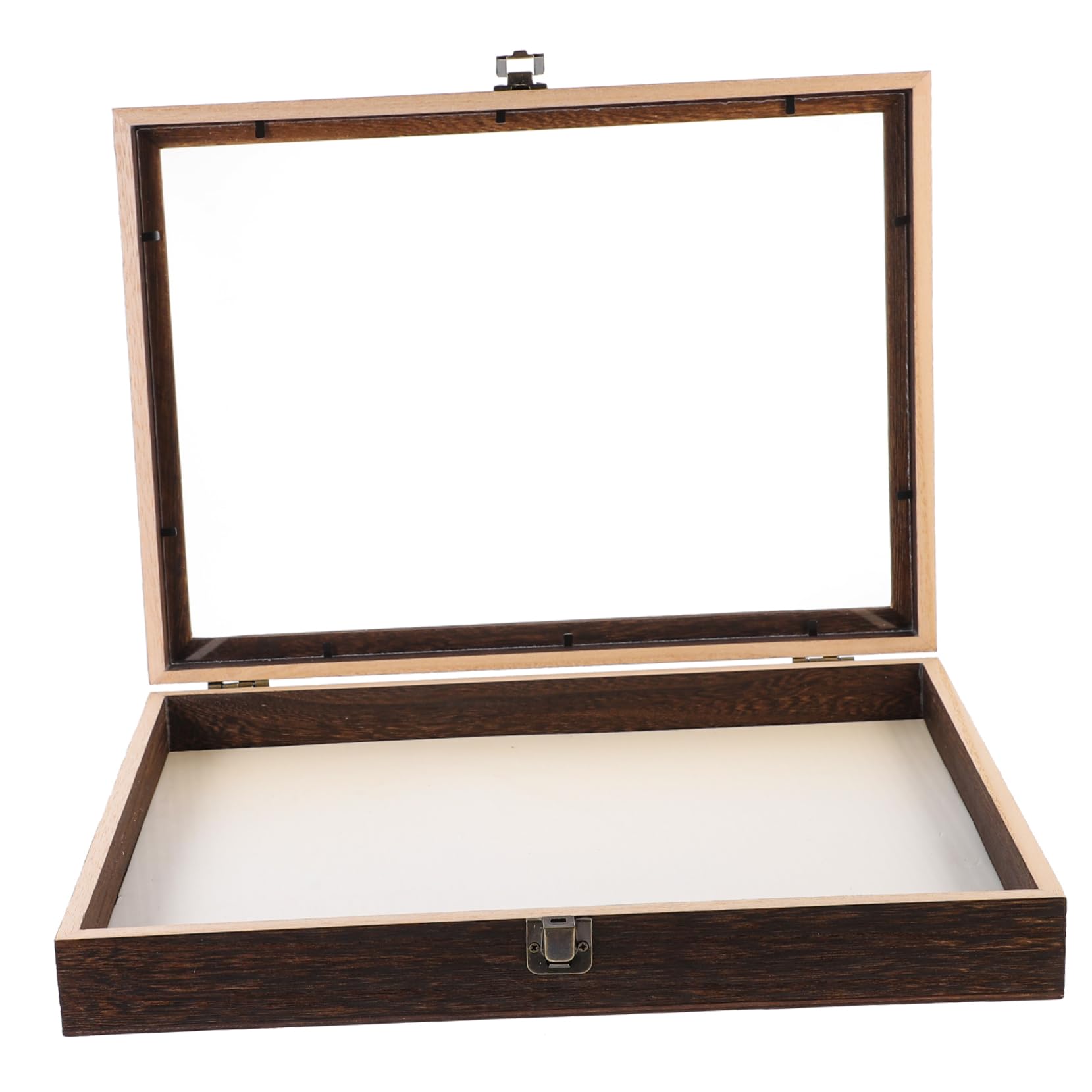 Vitrine pour Spécimens en Bois et Acrylique, Boîte de Présentation Rétro à Grosse Capacité, Cadre Boîte à Ombre Transparent et Anti-humidité pour Collection Style Aléatoire