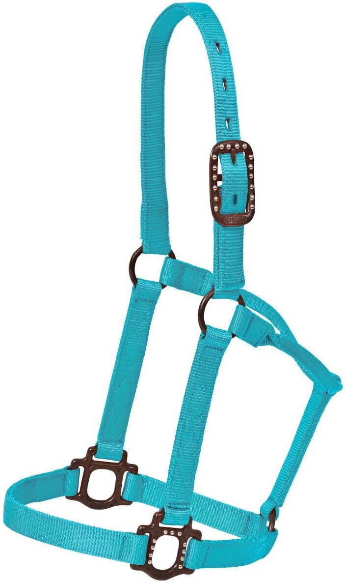 MUSTANGHorse Halter