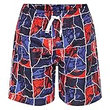 Lego Wear Jungen Badeshorts Lego Ninjago PING 424-20180, Gr. 140, Blau (Blue 569)