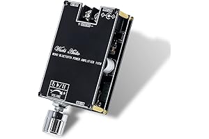 Pemeno L TWS 100w HiFi Mono Bluetooth Amplifier Board V5.0 Module with...