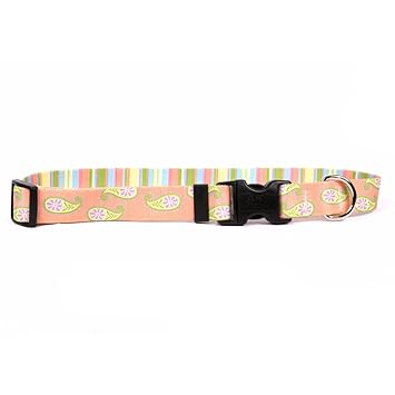Yellow Dog Design Melon Paisley Dog Collar, Medium-1
