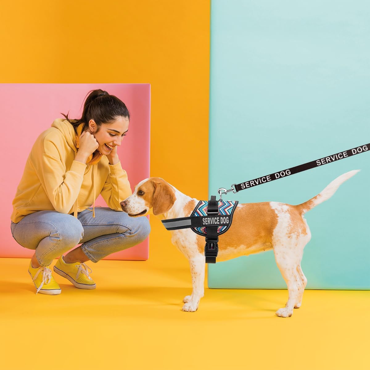 Dogline Service Dog Vest Harness Bundle Service Dog Reflective Leash & Patches Service Dog in Training Set, ADA IDs for Travel Support Therapy Dogs Girth 15 to 19 in Aztec Design