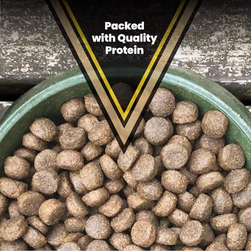 Image of VICTOR Multi-Pro Gluten Free Dry Dog Food - Beef, Chicken & Pork, 5 lb