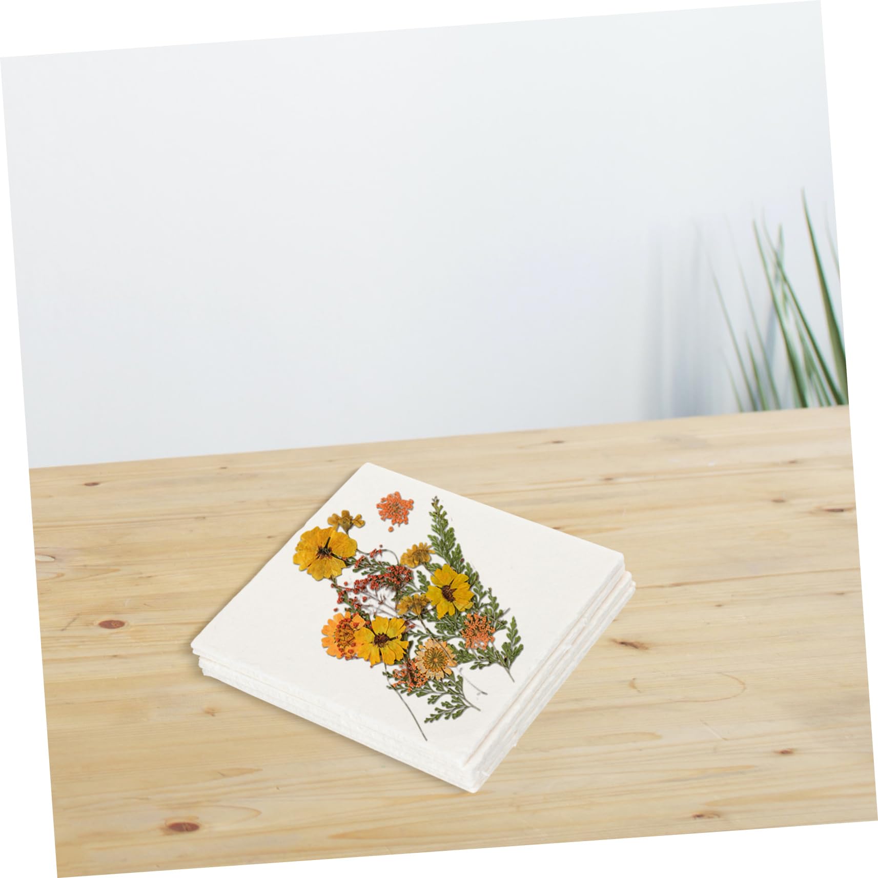 PHENOFICE Flower Pressing Plates 4pcs Absorbent Paper Blotter Paper for Plant Press