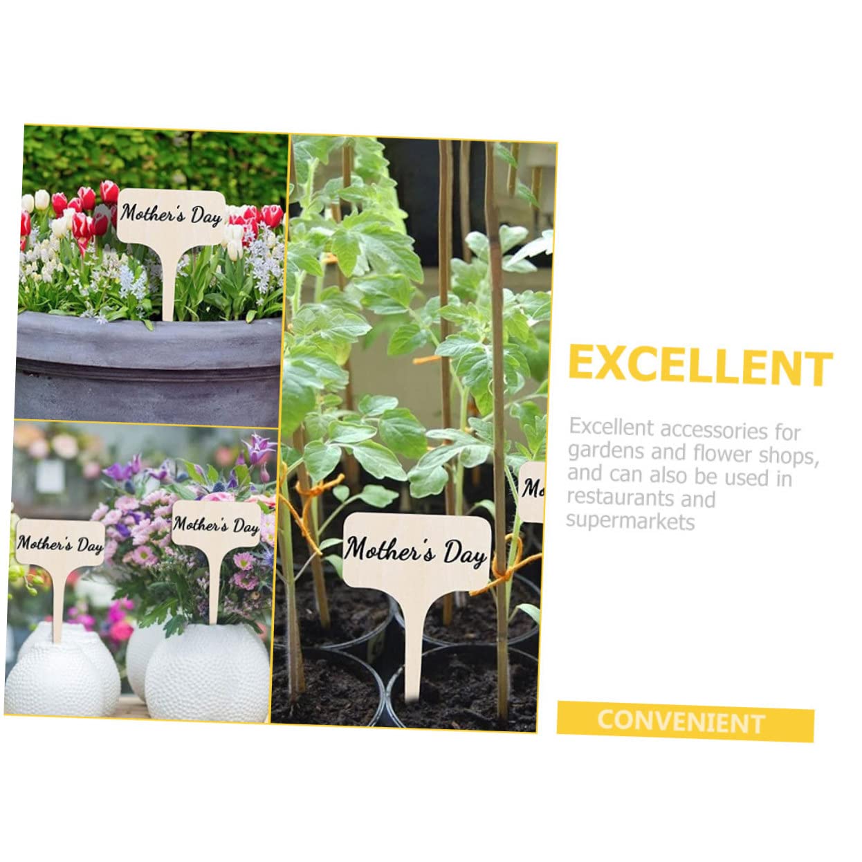 Milisten 4 ensembles Étiquette De Jardinage Nom Plante Piquets Plantes Petites Jardinières Étiquettes De Jardin Étiquettes Blanches Imperméables Pour 20 pièces * 4