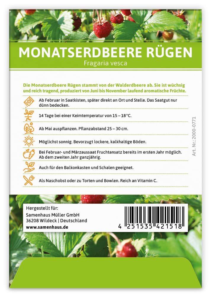 FLORTUS 2000-0771-100x Monatserdbeere Rügen (100 Tütchen) (Erdbeersamen)