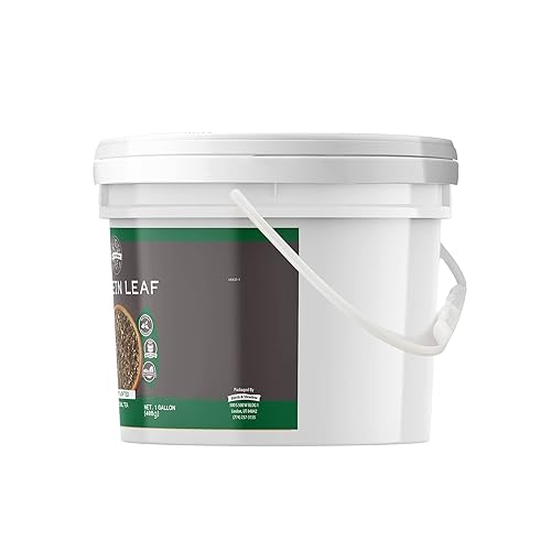 Miniatura 4 de Birch & Meadow Paquete de hojas de gordolobo y hojas de diente de león, cubo de 1 galón cada uno, cortado y tamizado, té de hierbas