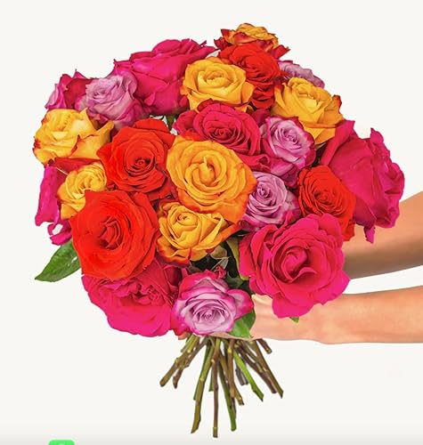Miniatura 4 de Rosas multicolores, dos docenas de rosas arcoíris BloomsyBox- sin jarrón