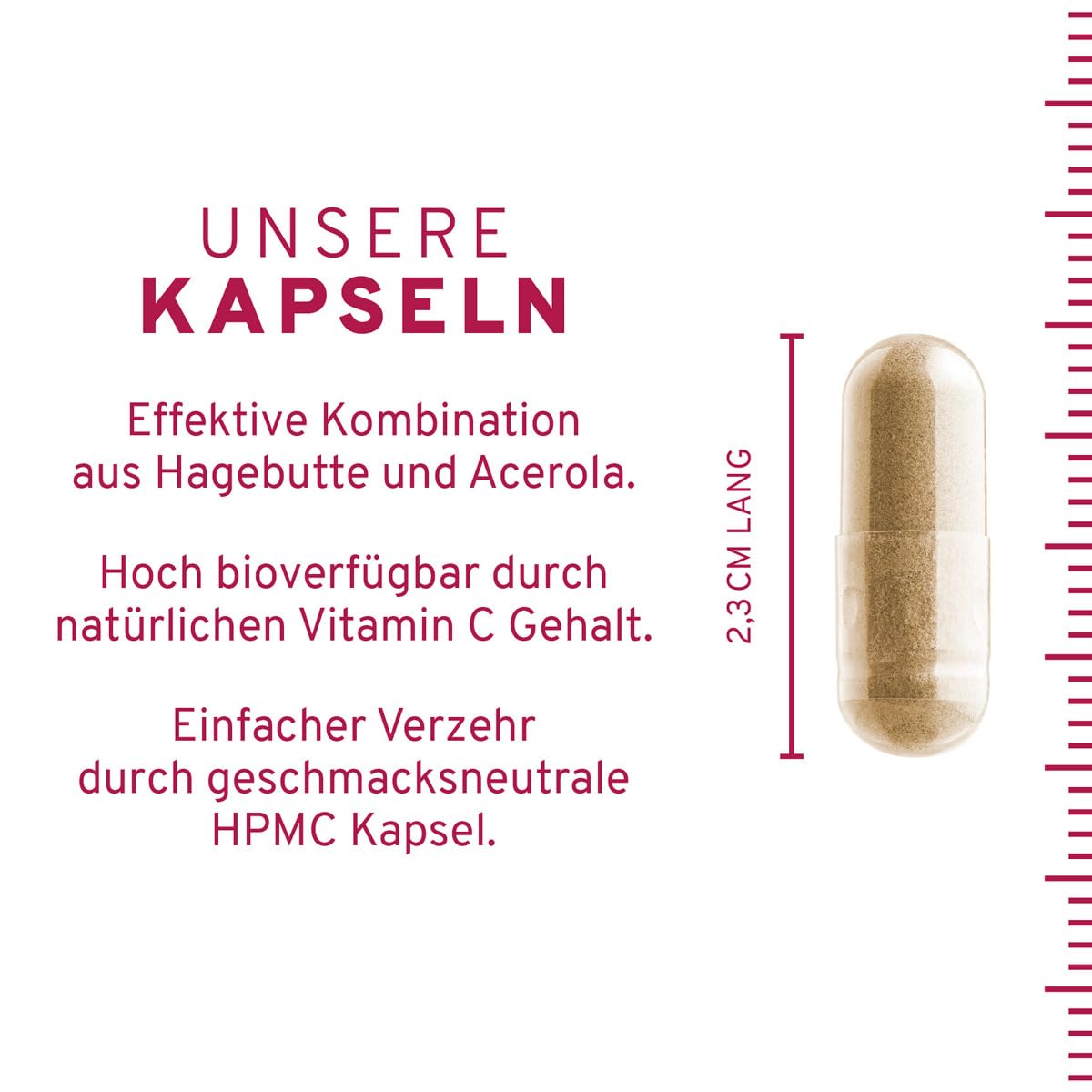 Hochdosiertes 600mg natürliches Vitamin C aus Acerola-Extrakt und Hagebutte-Extrakt. 120 Kapseln im 2 Monatsvorrat. Hohe Verwertbarkeit, vegan + hergestellt in DE.