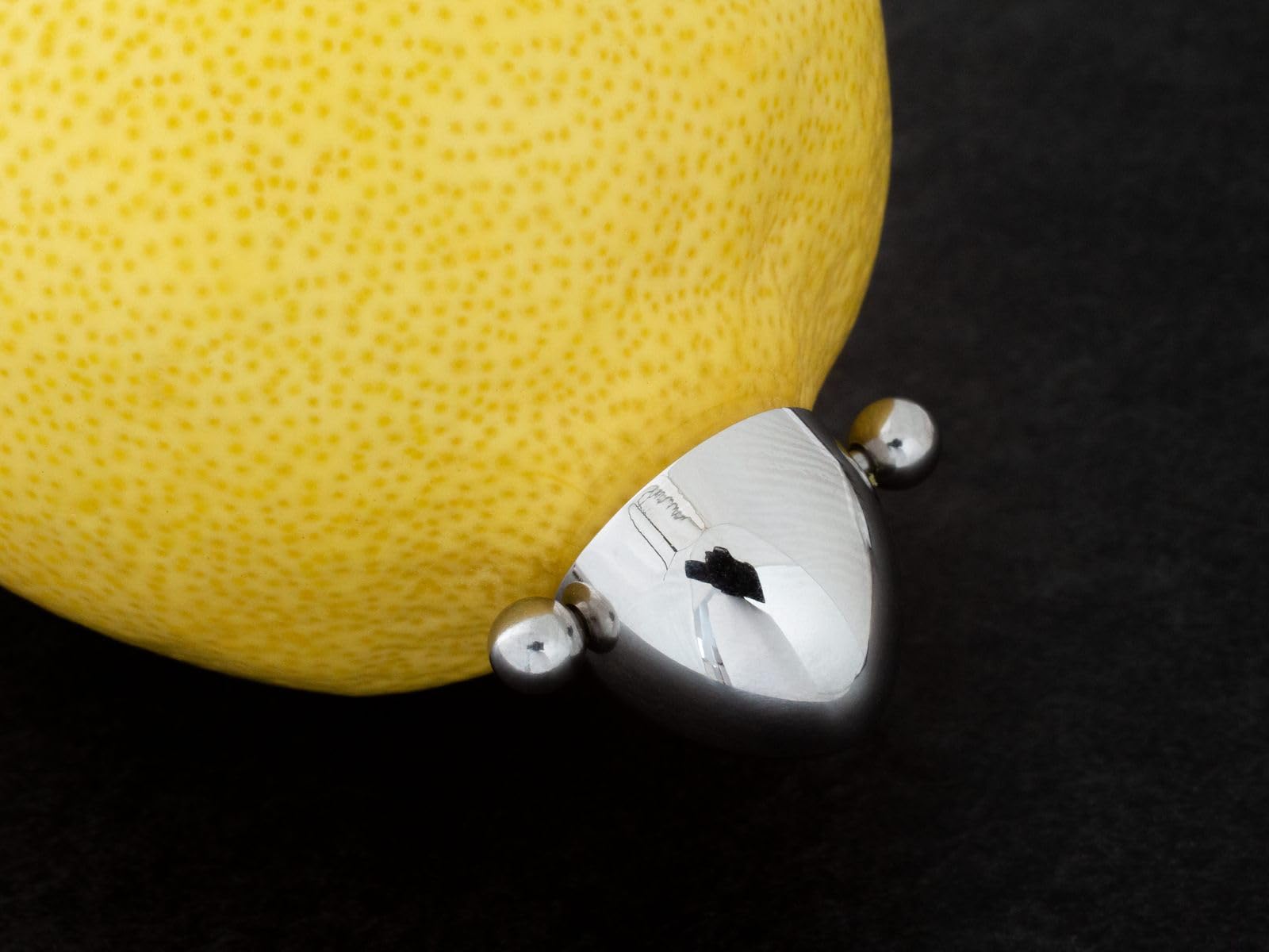 Fly Style - Nippelschild/Brustwarzenpiercing aus 316L Edelstahl für Damen