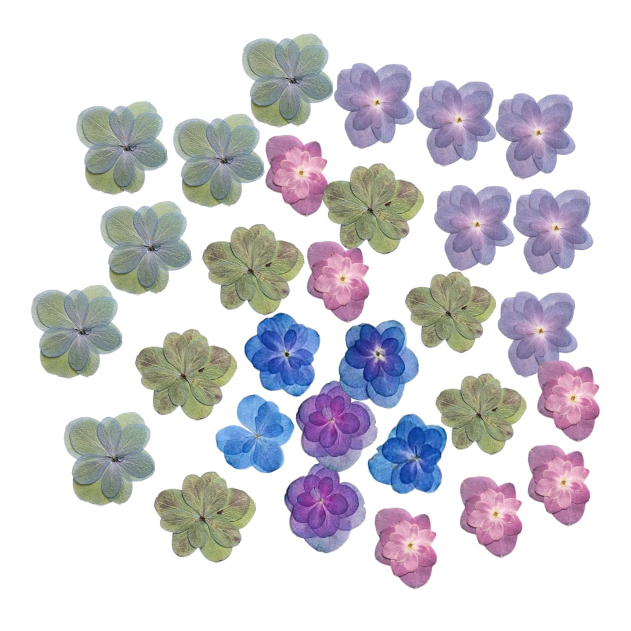 DECHOUS 5 Sets Handgefertigtes Bastelset Mit Getrockneten Blumen Mini-gepresste Blumen Für Harzprägung Dekorelemente 30 Stück * 5