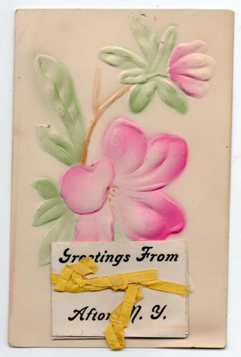 Afton New York Greetings From Fold Out Airbrushed Embossed