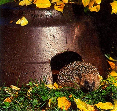 Schwegler Naturschutzprodukt Nisthilfe Nisthöhle Igelhaus Igelkuppel mit Isolierboden aus Holzbeton Höhe 30,5 cm