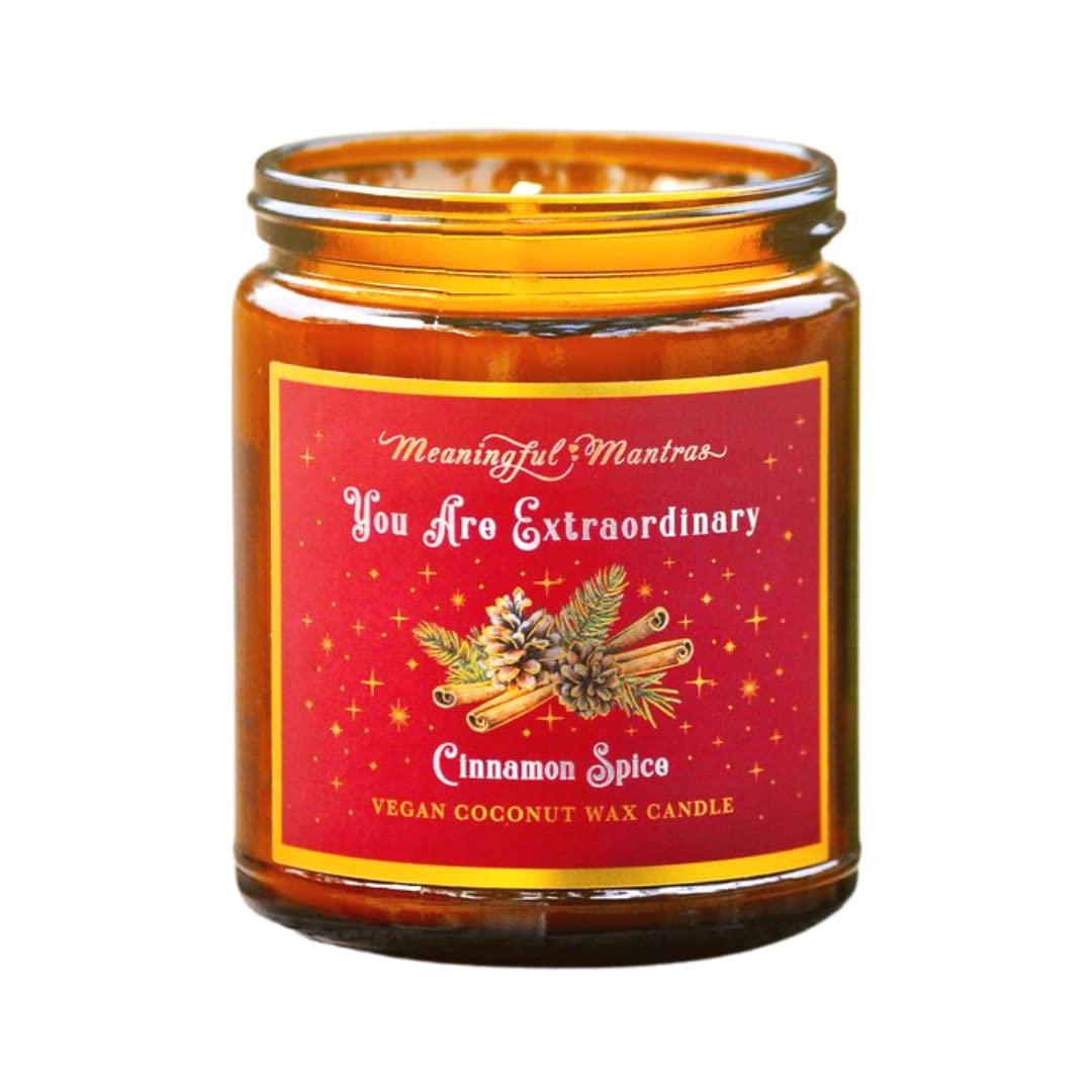 You are Extraordinary Holiday Cinnamon Spice Aromatherap Candle | Cinnamon, Cardamom Clove | Real Essential Oils | Coconut Wax | Great for Gifting | 8oz | 34 Hour Burn