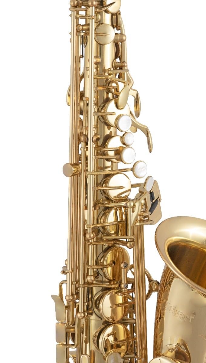 Amazon.com: Selmer SAS511 Intermediate Eb Alto Saxophone Lacquer