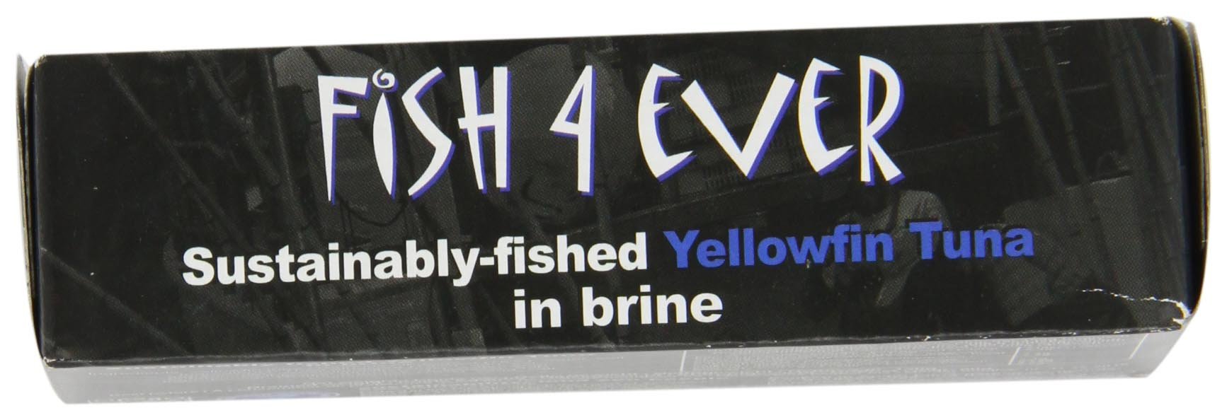 Fish4Ever Tuna Fish In Brine 120 g (Pack of 5) (Organic)
