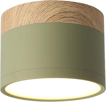 SaeYz Led Downlight Ceiling Spot Lights 7W Art Spotlight Mounted Downlights Round Lighting Fixture Ideal,Chandelier Lamps