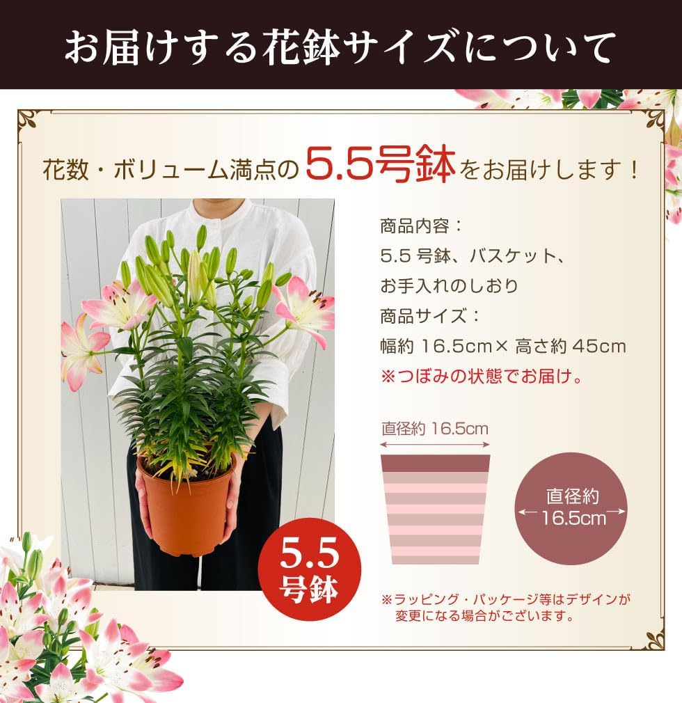 ユリの鉢植えセット内容