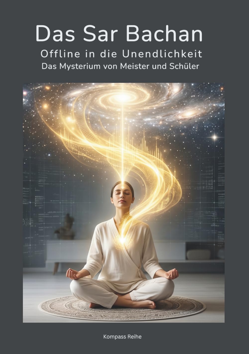 Das Sar Bachan: Offline in die Unendlichkeit - Das Mysterium von Meister und Schüler