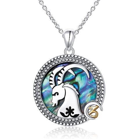 Alphm 12 Constellation Necklace 925 Sterling Silver Zodiac Sign Coin Pendant Necklaces Abalone Shell Astrology Horoscope Jewelry Birthday Gifts for Women