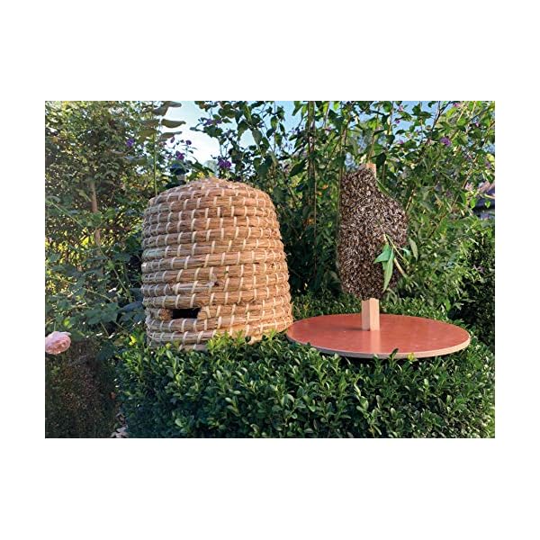Unbekannt Elmato 10239 Bienenkorb mit Boden Bienenhaus Hummelhaus aus Stroh und Holzrinde, 34x35cm – Bild 4