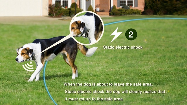 custom shape wireless dog fence