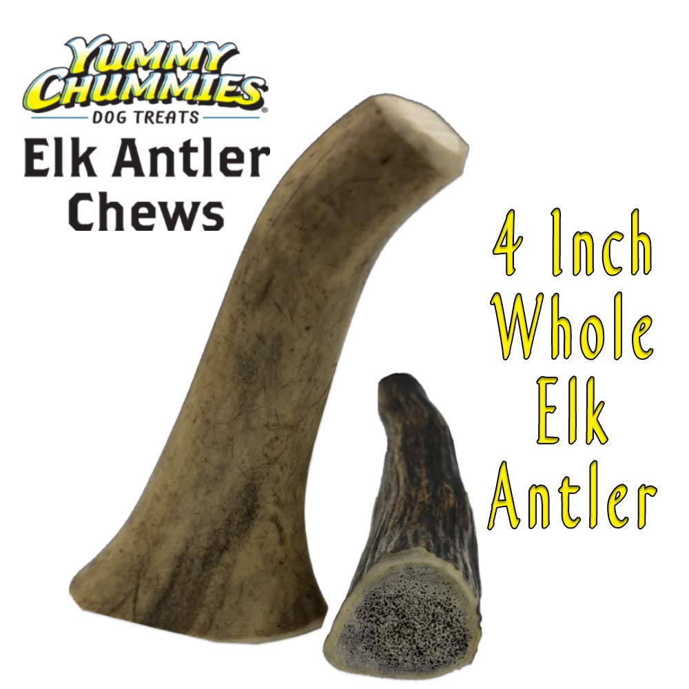 Yummy Chummies 2 Pack Grade A Elk Antler Chews 4 Inch Whole 100% Elk Antler Dog Chews…