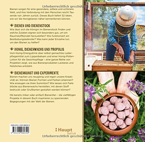 Bienen-Werkstatt: 52 Projekte für angehende Imker – Bild 3