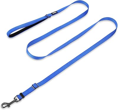 Hyhug Pets Premium Adjustable Leash with Heavy Duty Nylon and Super Soft Neoprene Lined Handle for Medium Small Dogs. (Small, Royal Blue)