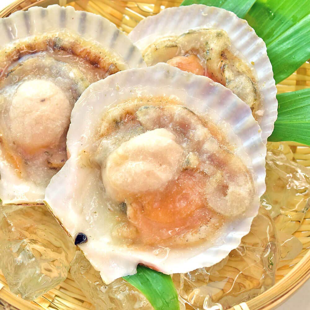 Amazon.co.jp: ホタテ片貝 20枚 殻付き 北海道産 BBQ 浜焼き 帆立